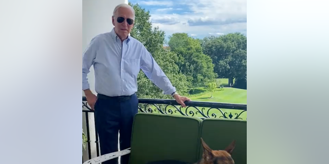 President Biden posted a video on Twitter on Saturday afternoon after testing positive for COVID-19 in a 