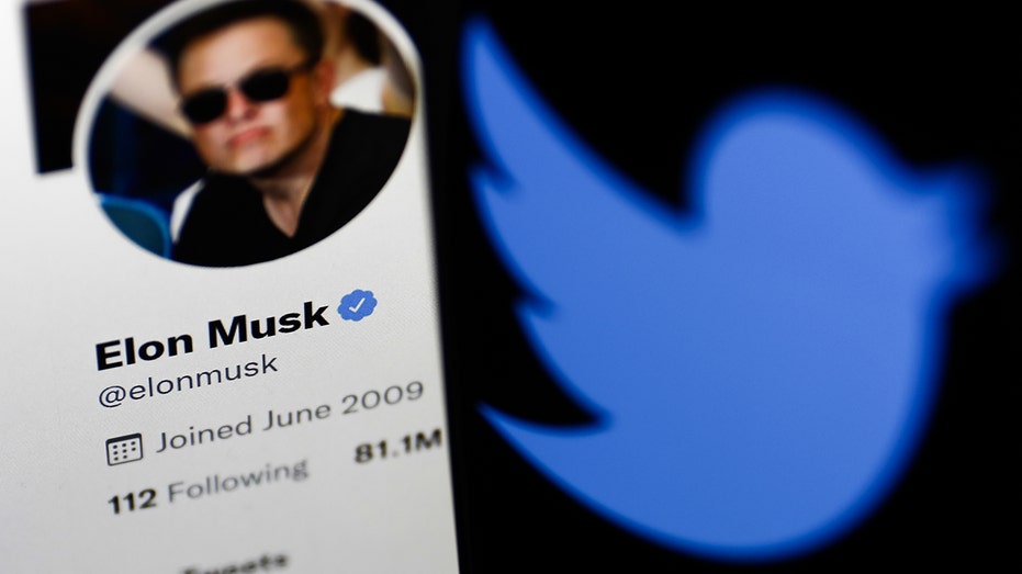 Elon Musk's Twitter profile next to the Twitter logo